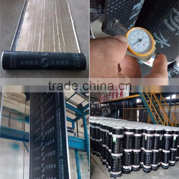 High Quality Cheap Price Chensheng Brand SBS Modified Asphalt Waterproof Membrane