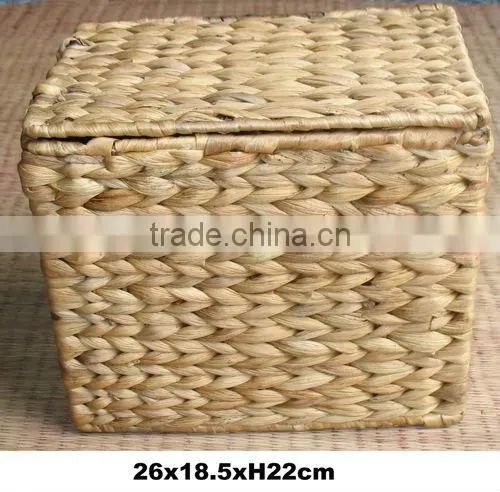 Water hyacinth box with iron frame