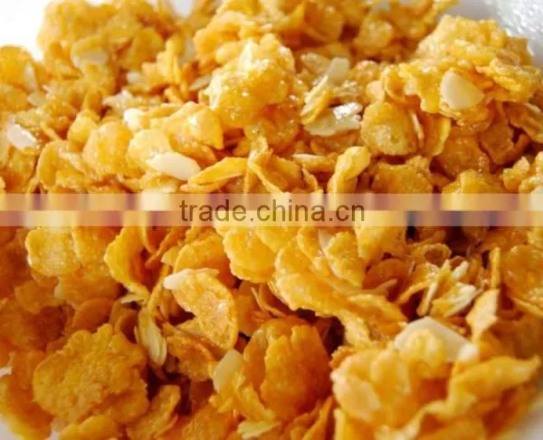 Corn Flake & Breakfast Cereals Machinery/processing Line /making Machine photo-2