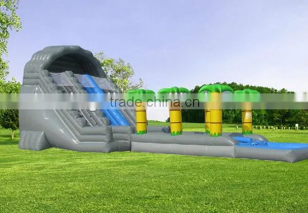 Hot-selling Inflatable Water Slide With Pool Inflatable Palm Tree Water Slide