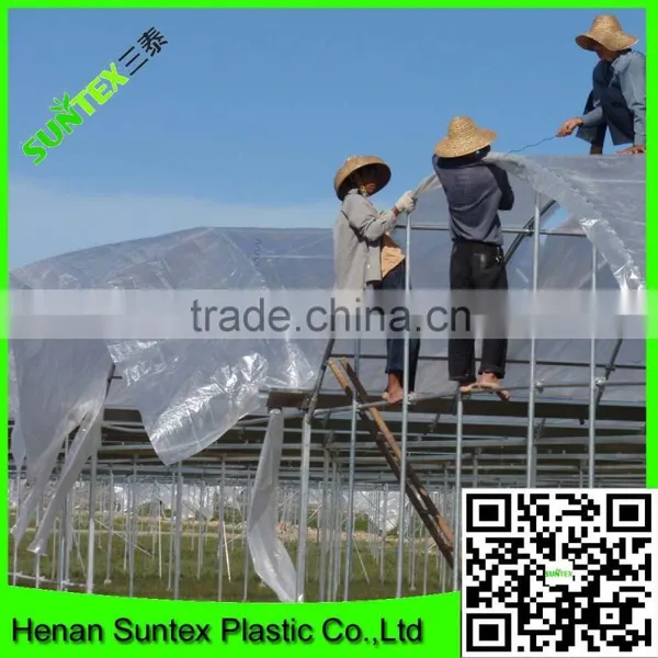 5 Years User Time Tree Layer Plastic Greenhouse,UV Treated Transparent Covering Plastic Film photo-4