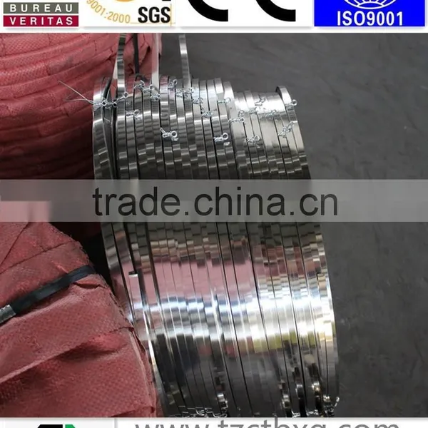 Stainless Steel Strip