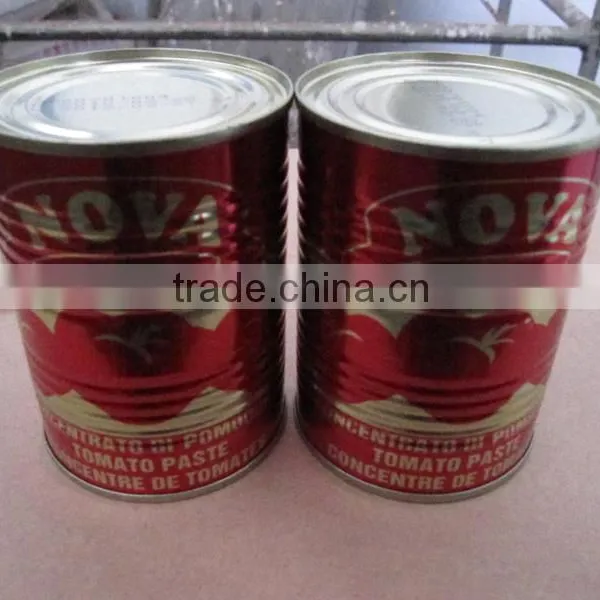 Pure Canned Tomato Paste in Printing 800gram, 210gram, 70gram, 400gram photo-6
