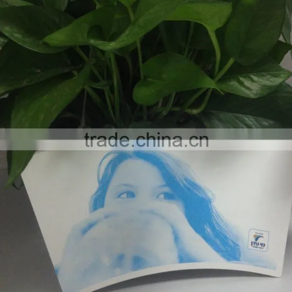 China Produce Paper Cup Fan photo-4