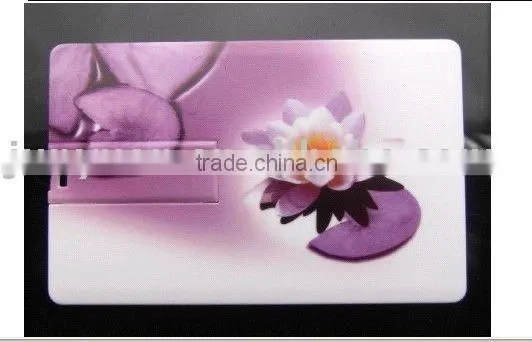 OEM Hot Selling Card Usb Flash Disk