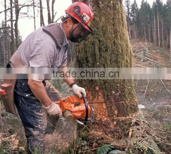 Wood Drying Kiln, Wood Treatment Machine photo-4