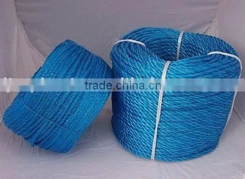 Slit Film Blue Polypropylene Rope photo-4