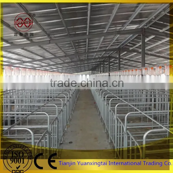 Pipe for Sow Cage/steel Pipe photo-2