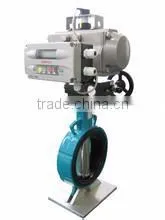 Butterfly Valve PN16 DN 1000 300 Class photo-3