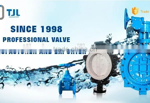 Ductile Iron Y Type Strainer Flanged Ends photo-5