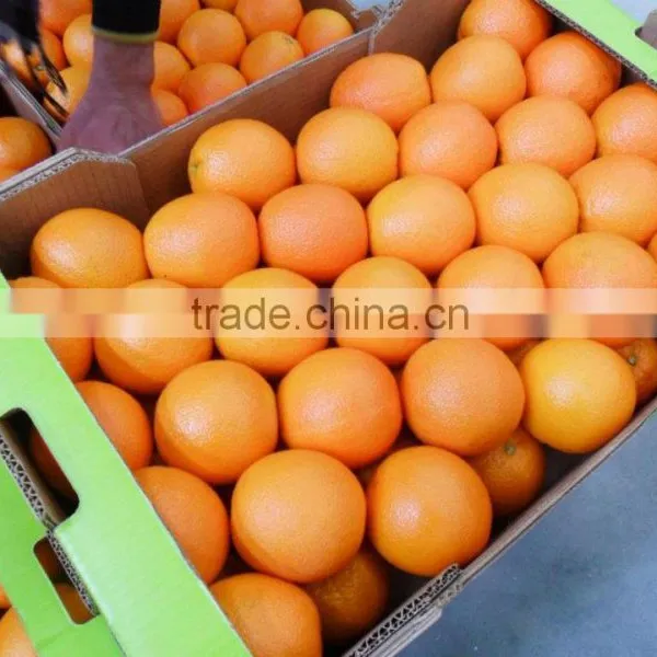 Fresh Valencia Orange photo-3