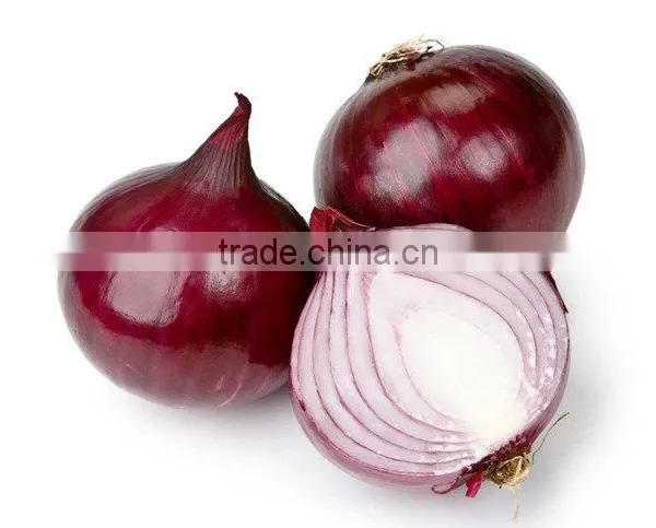 High Quality Onion for Sale | Onion Suppliers From India | Red Onion Exporters photo-2