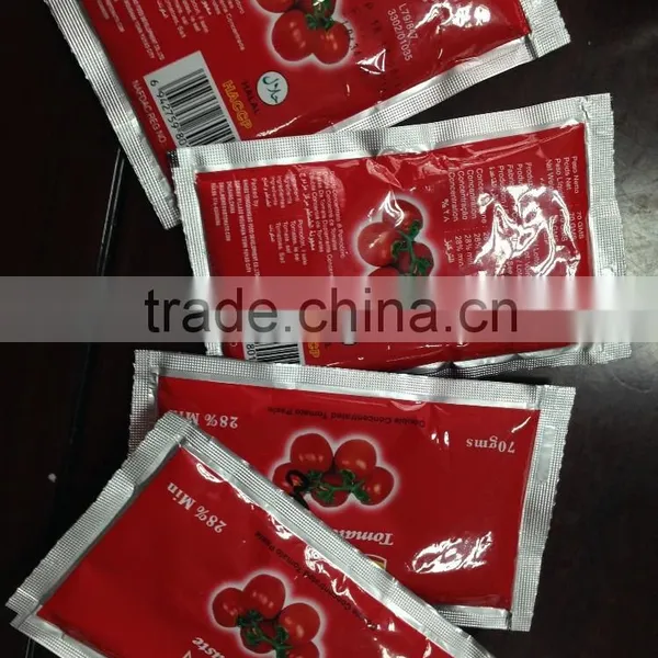 Top Quality Hot Sell China Tomato Paste 28-30% 50G 70g in Sachet Factory