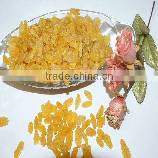 Kingland Sun Dry Gold Raisin, Hand Selected Quality