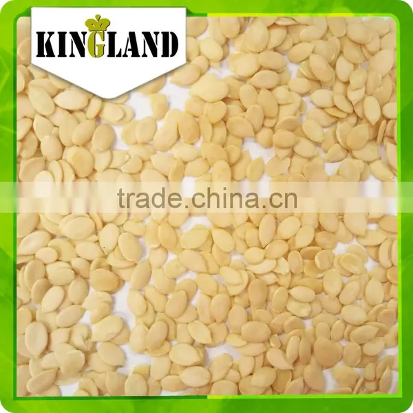 Top Quality Watermelon Seeds for Planting photo-4