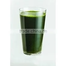 2015 Health Food Organic Barley Grass Powder photo-6