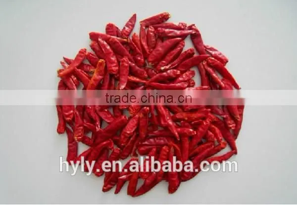 Dried New Generation Chilli photo-2