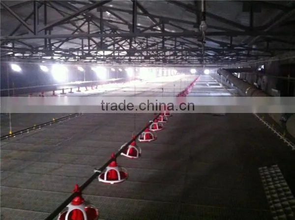 Poulty Plastic Drain Dung Floor for Farming Broiler Chicken House photo-4