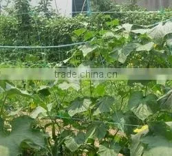 Plant Support Net/Vegetable Climbing Net/Cucumber Climbing Net/ Bean Netting/Flower Net photo-5