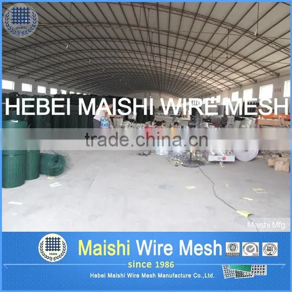 Welded Wire Mesh (28 Years Factory) photo-5