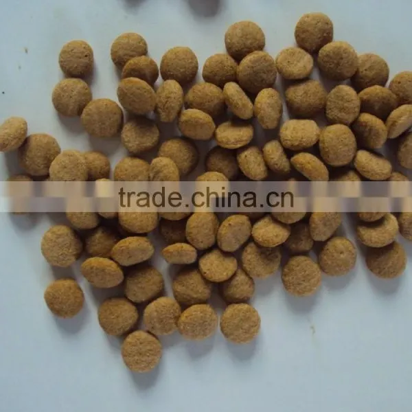 Twin Screw Extruder for Dog Food photo-5