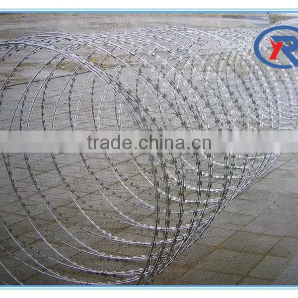 Hebei China Factory Cheap Galvanized Barbed Wire photo-5