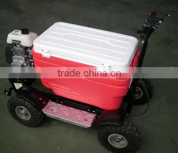 Hot Sale 48L 43cc EPA Gas Cooler Scooter/camping Scooter (TKS-S43) photo-5
