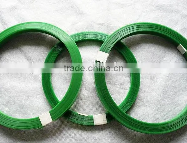 2016 China Supply Green Plastic Packing Strap Pet Packing Belt photo-3