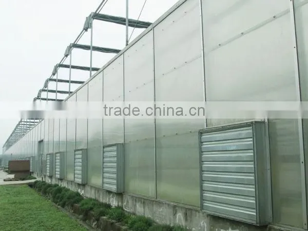 High Tunnel Plastic Agricultural Greenhouses for Sale photo-5
