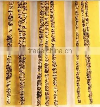 SIC Nylon PA 610 Abrasive Filament photo-3