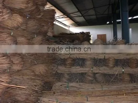 Raw Rattan Cane, Rattan, Cane, Rattan Meterial, Raw Material, Rattah Raw Mateiral, Rattan Cane photo-4