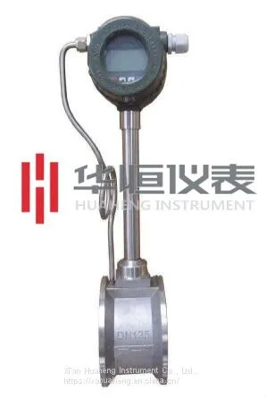 Steam Flow Meter