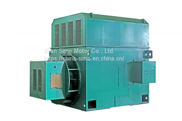 Ykk Yrkk Y Series Simo High Voltage Three Phase Induction Electric Motor photo-3