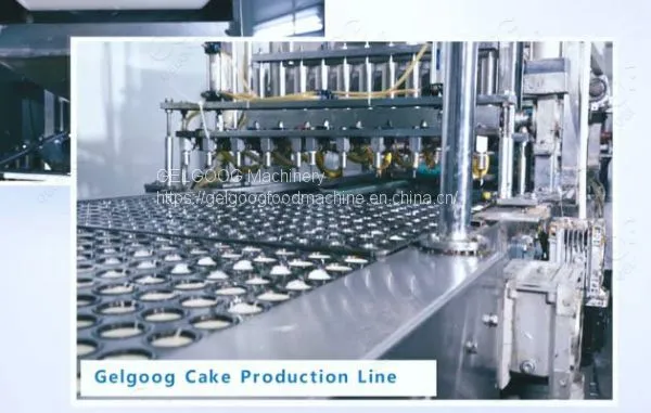 Industrial Cake Production Line Manufacturer photo-2