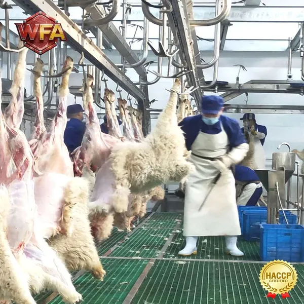 Goat Slaughtering Equipment Sheep Abattoir Machine for Mutton Slaughterhouse Line Global Installation photo-2