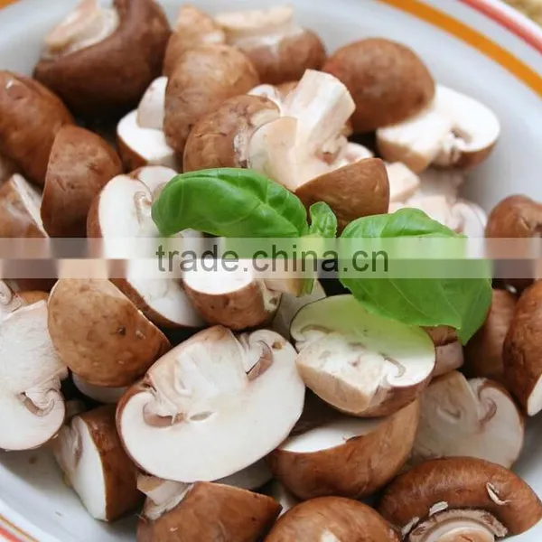 Commercial Red Date Washing Machine|Bubble Type Mushroom Washing Machine photo-6