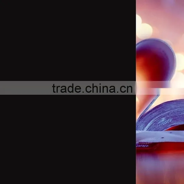 Glass Safety Film Reflective Window Film photo-6