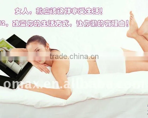 High Quality Multi-Funtion Protable Laptop Table, Protable Folding Laptop Desk photo-3