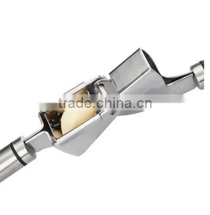 Stainless Steel Garlic Press and Masher or Presser photo-4