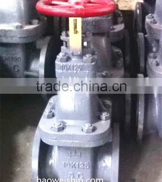 JIS F7366 10K Marine Cast Steel Gate Valve