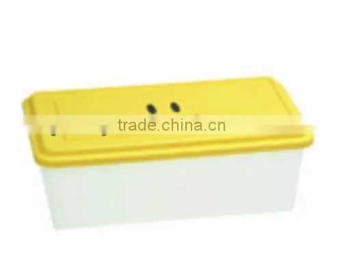 Box for Woman Shoes