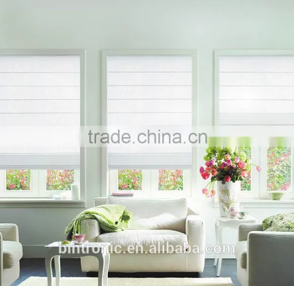Bintronic Customized Product Electric System Roman Blinds Horizontal photo-2