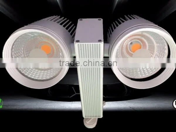 led tracking light 10-80W