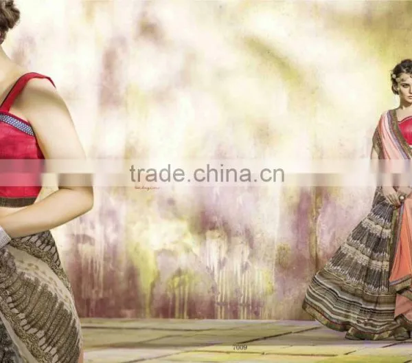 Bordered Embroidery Worked Elegance Designer Sarees photo-5