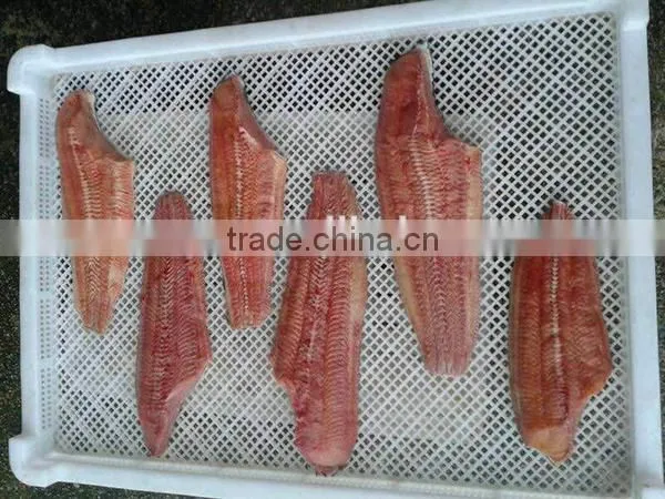 Frozen Farmed Catfish/pangasius Fillet