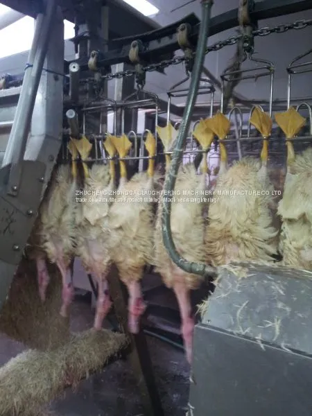 Duck Abattoir Machine photo-2