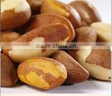 Brazil Nuts