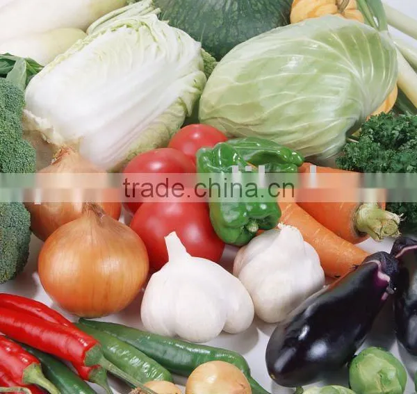 Fresh Vegetable