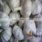 FRESH GARLIC