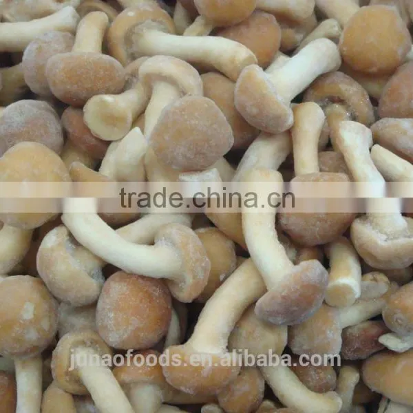 Grade A Chinese Nameko Mushroom Spawn for Sale photo-5